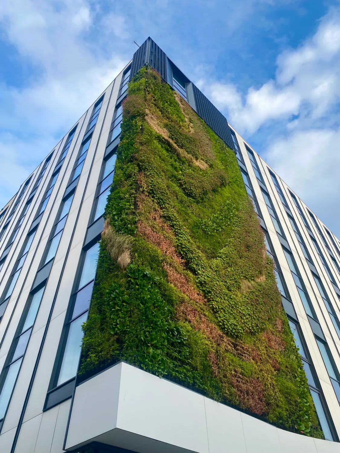 Hotel Mercure — zielona elewacja